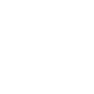 NSF ISR Logo