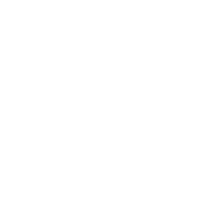 Toyota Boshoku America
